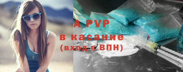 шишки Мегион