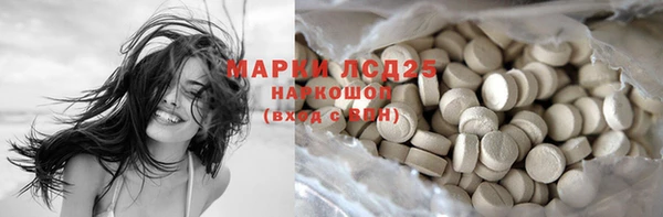 шишки Мегион