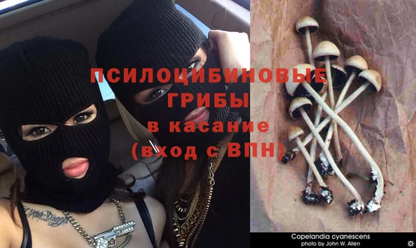 метадон Михайлов