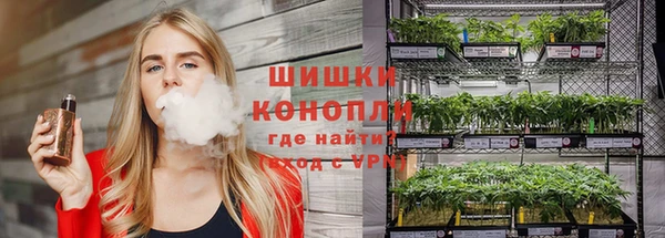 шишки Михайловск