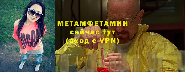 шишки Мегион