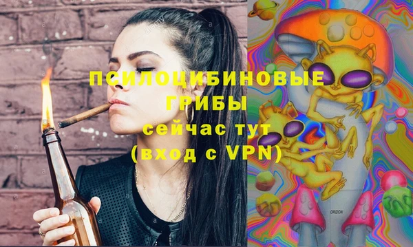 метадон Михайлов