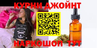 индика Дубна