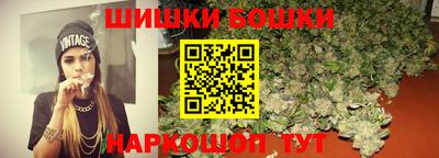 индика Дубна