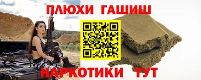 индика Дубна
