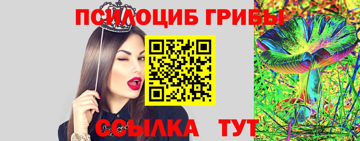Михайловка  Псилоцибиновые грибы мухоморы  Вход с VPN 