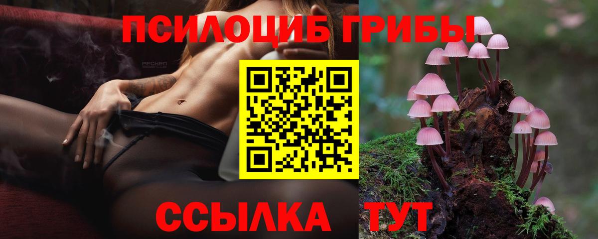 Псилоцибиновые грибы GOLDEN TEACHER Михайловка