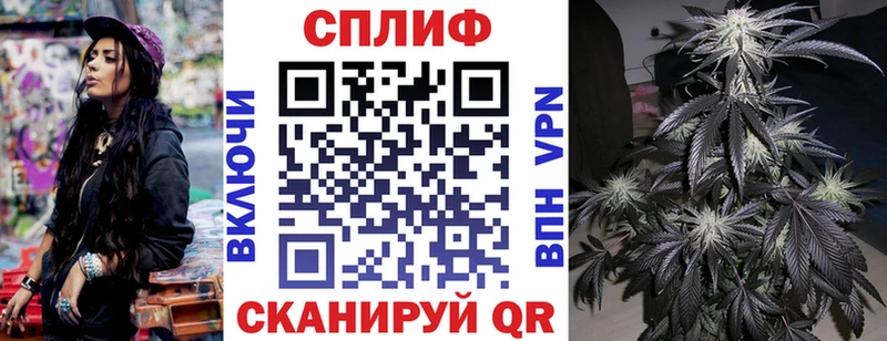 Конопля конопля  Михайловка 